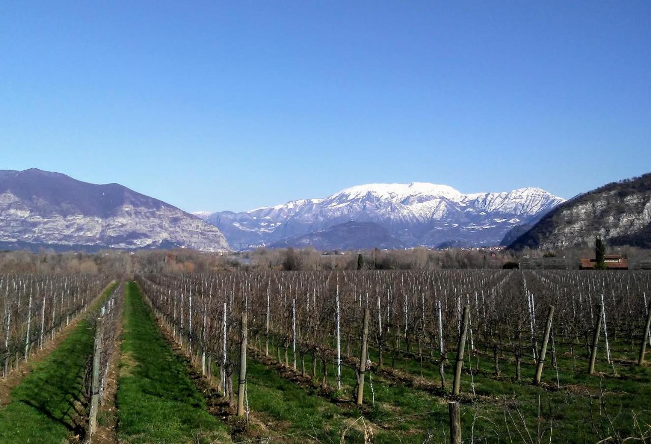 Cascina San Martino Bed & Breakfast Passirano Eksteriør bilde